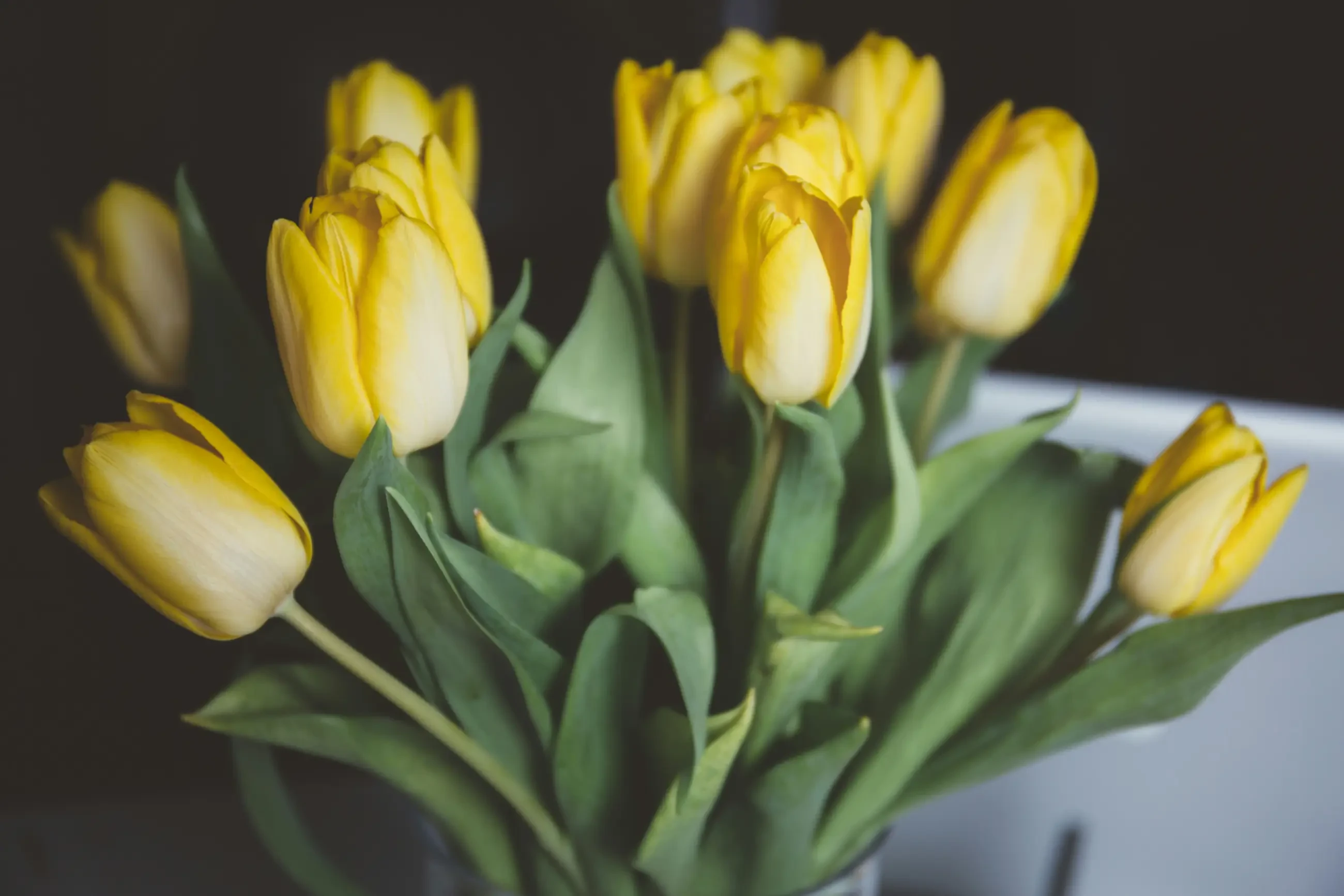 Seasonal Bouquet Pairings: Matching Flowers to Your Gown and Venue Image