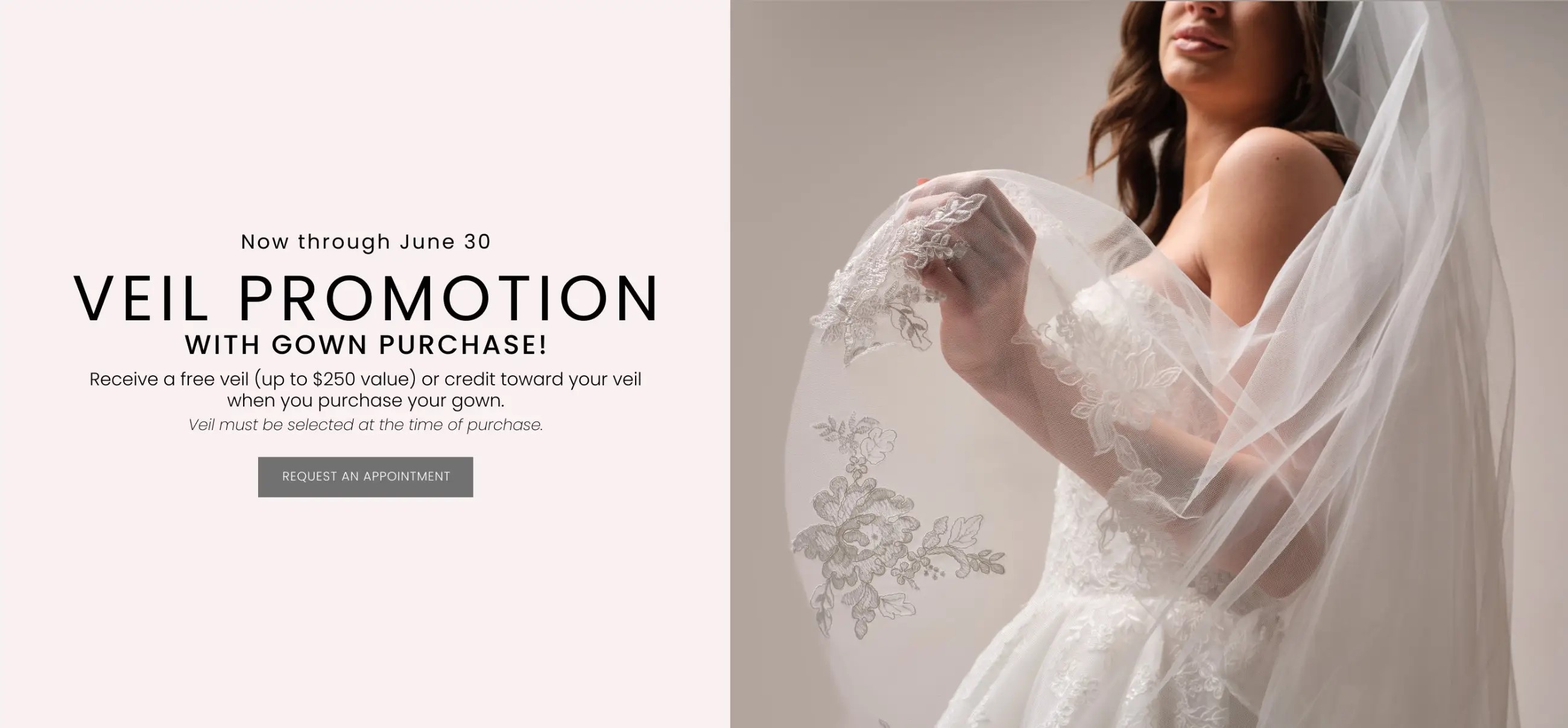 Veil Promotion Desktop Banner